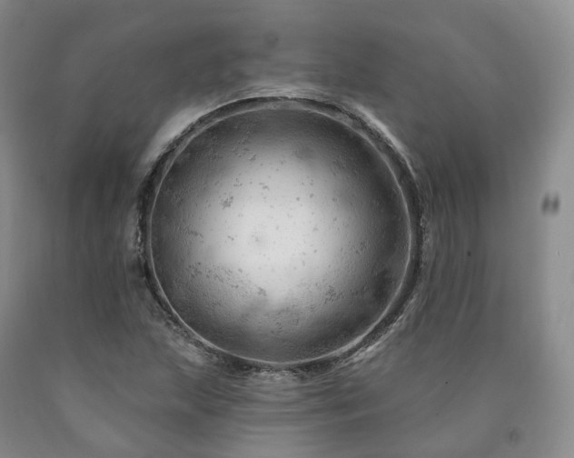 X0000090891215200707271325