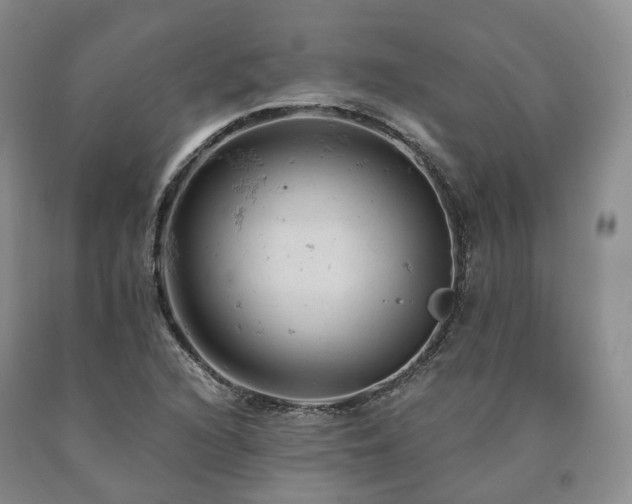 X0000090891216200707271325