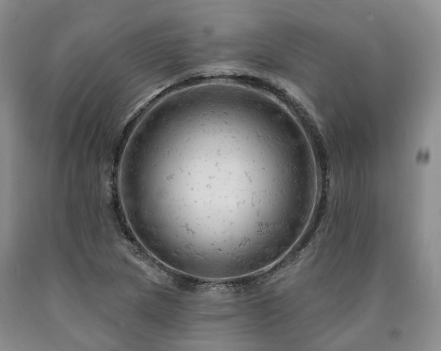 X0000090891217200707271325