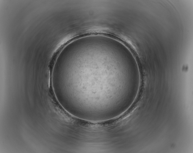 X0000090891219200707271325