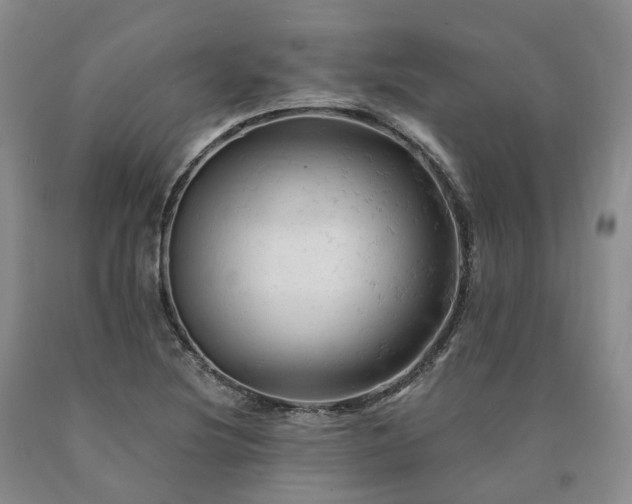 X0000090891220200707271325