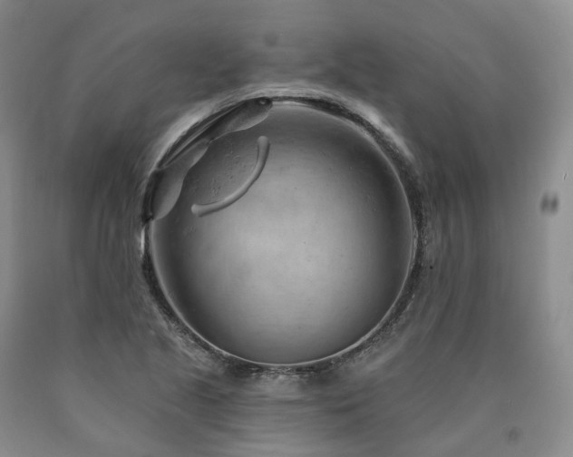 X0000090891221200707271325