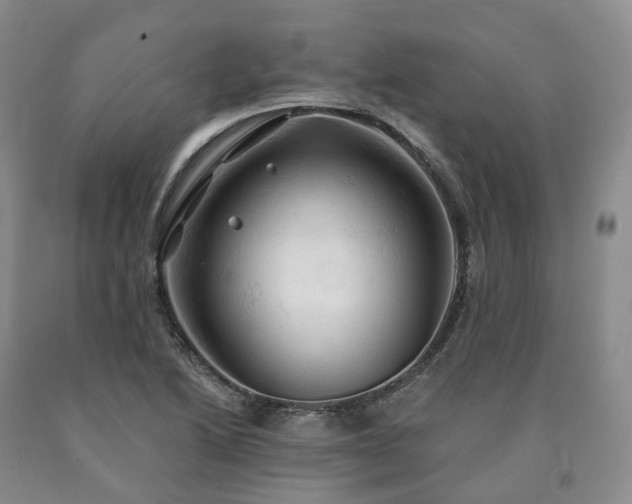 X0000090891222200707271325