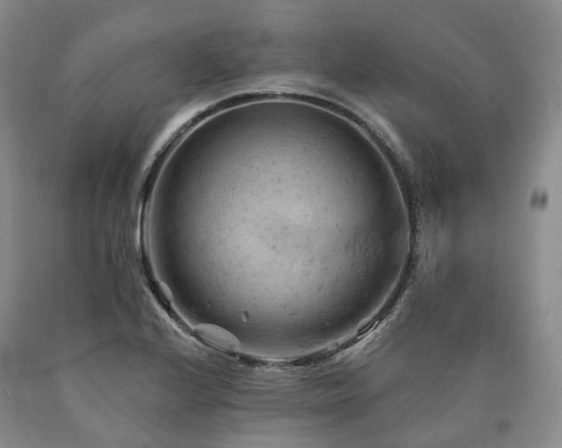 X0000090891224200707271325