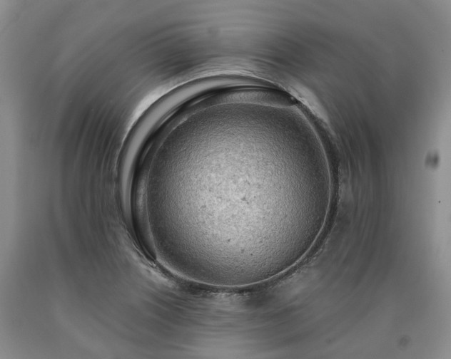 X0000090891226200707271325