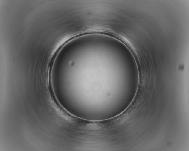 X0000090891227200707271325