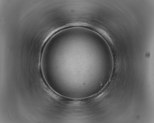 X0000090891228200707271325