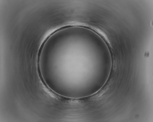 X0000090891231200707271325