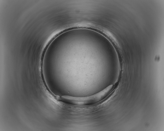 X0000090891232200707271325