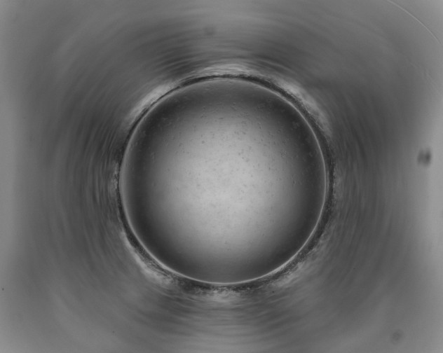 X0000090891233200707271325