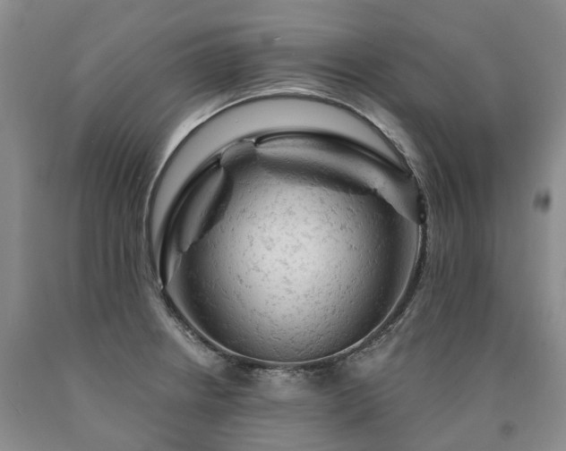 X0000090891234200707271325