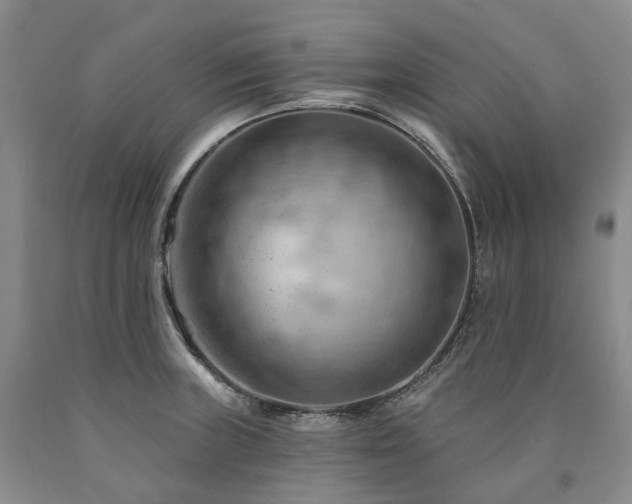 X0000090891235200707271325