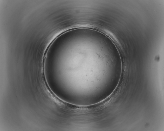 X0000090891236200707271325