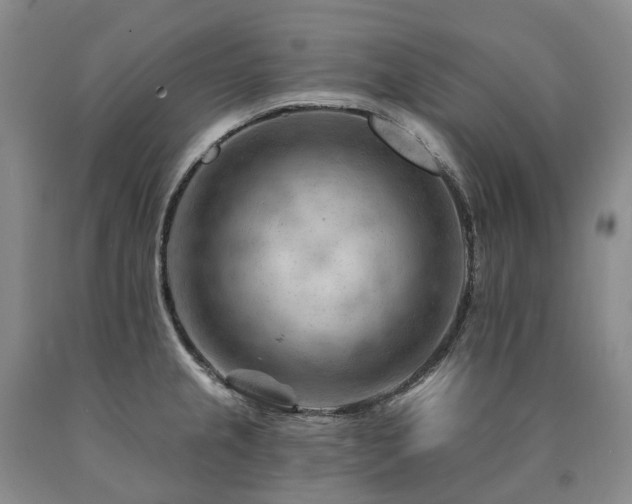 X0000090891237200707271325