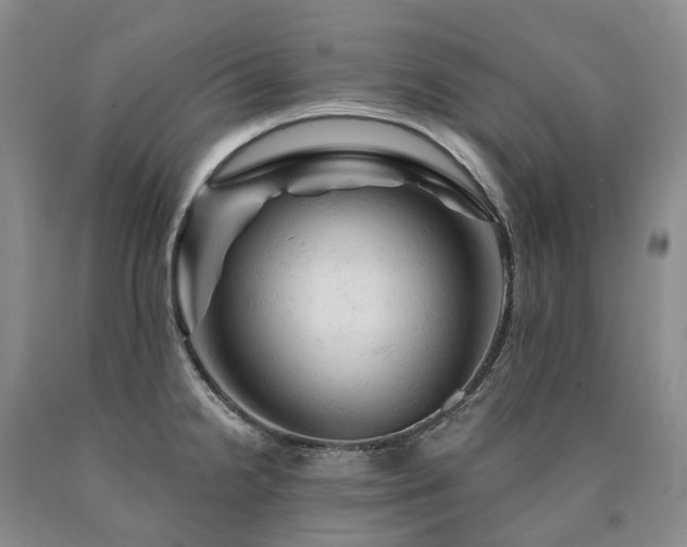 X0000090891238200707271325