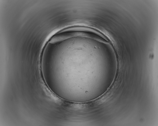 X0000090891240200707271325