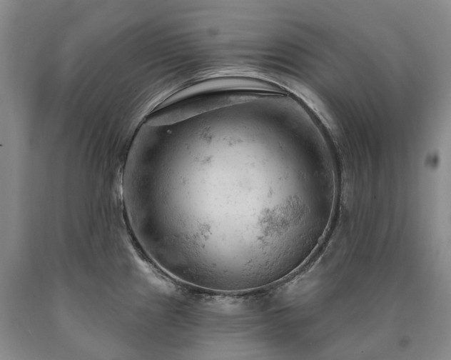 X0000090891241200707271325