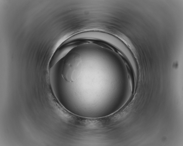 X0000090891242200707271325