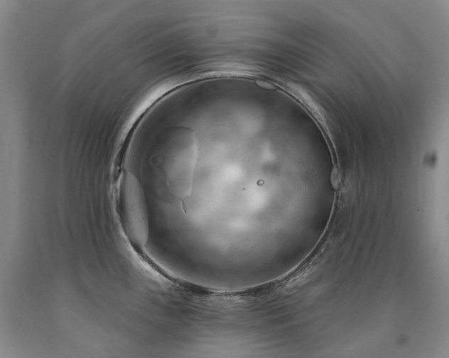 X0000090891243200707271325