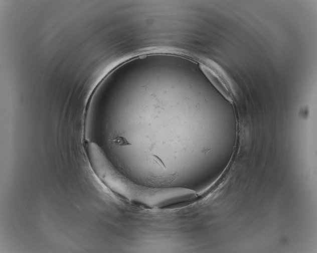 X0000090891244200707271325