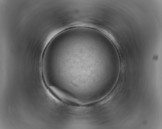 X0000090891247200707271326