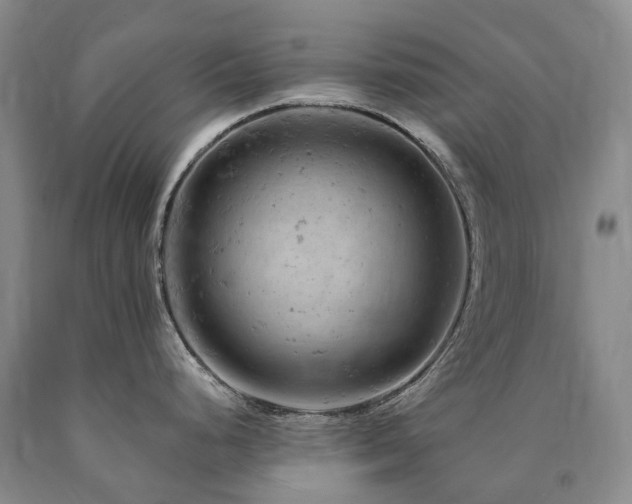 X0000090891248200707271326