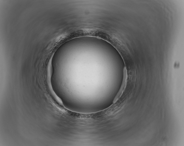 X0000090891249200707271325