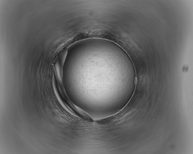 X0000090891250200707271325