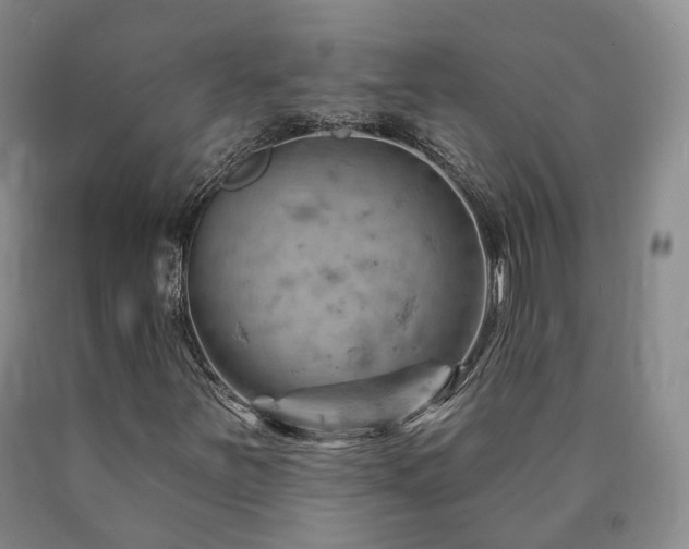 X0000090891251200707271325