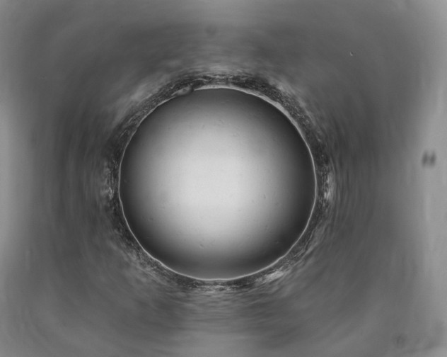 X0000090891253200707271325