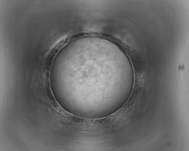 X0000090891254200707271325