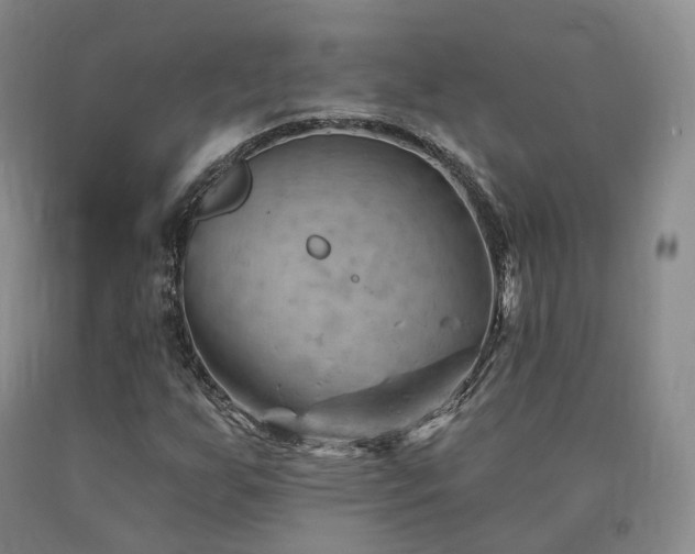 X0000090891255200707271325