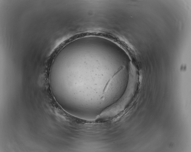 X0000090891256200707271325