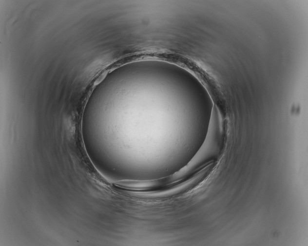 X0000090891257200707271325