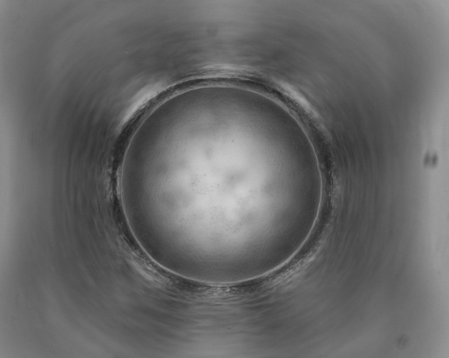 X0000090891259200707271325