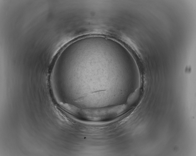 X0000090891260200707271325