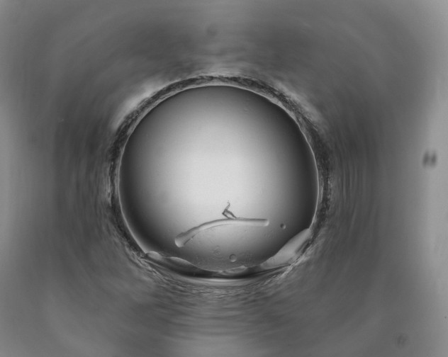 X0000090891262200707271325