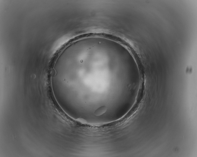 X0000090891263200707271325