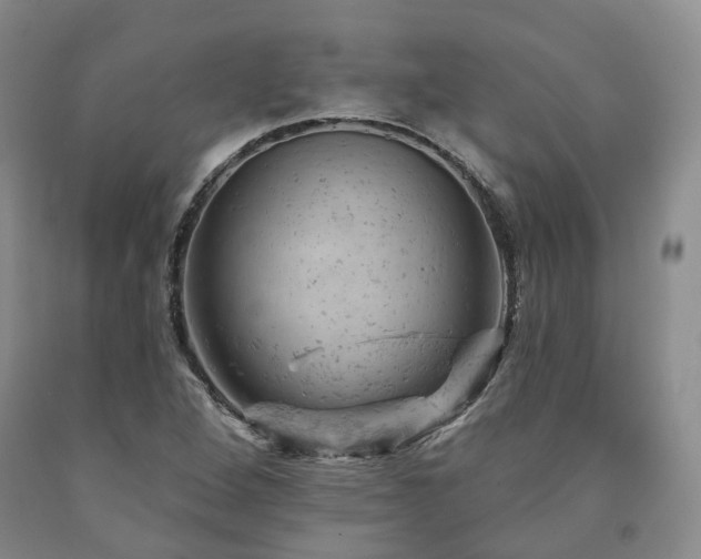 X0000090891264200707271325