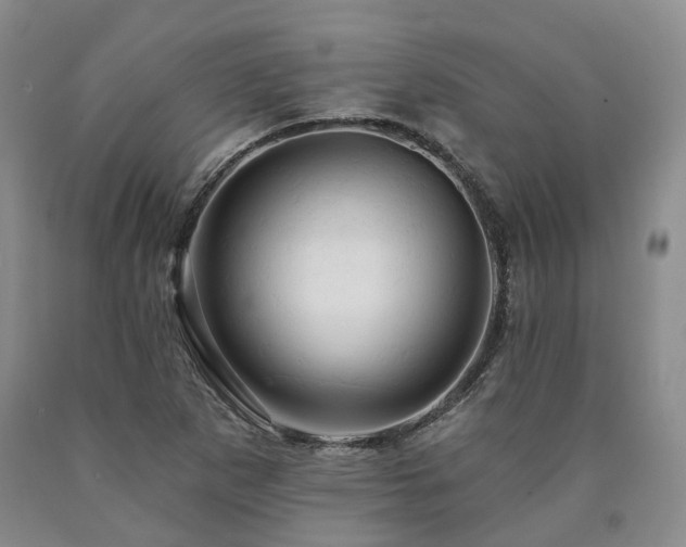 X0000090891265200707271325