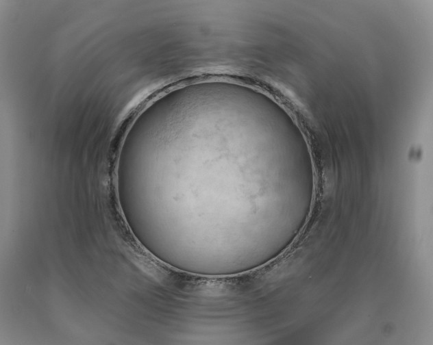 X0000090891266200707271325