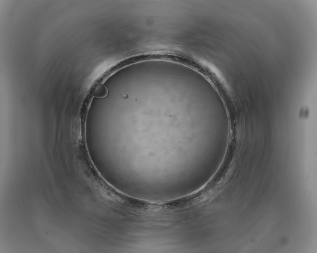 X0000090891267200707271325