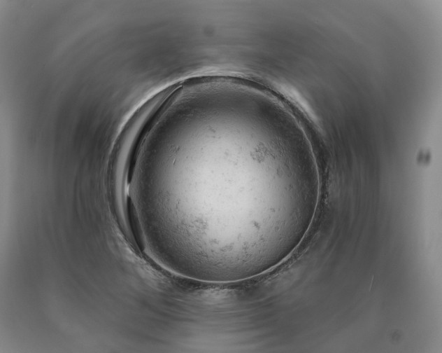 X0000090891268200707271325