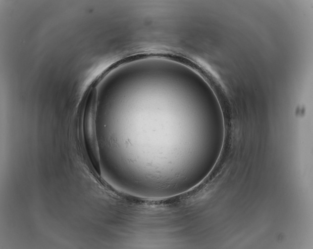 X0000090891269200707271325