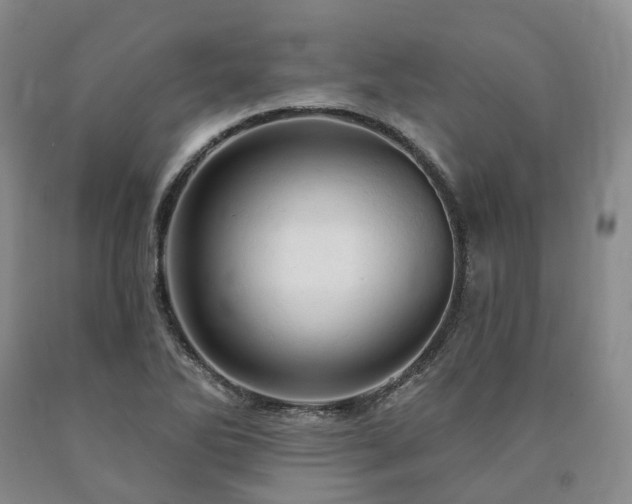 X0000090891270200707271325