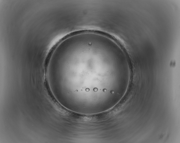 X0000090891271200707271325