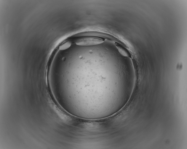 X0000090891272200707271325