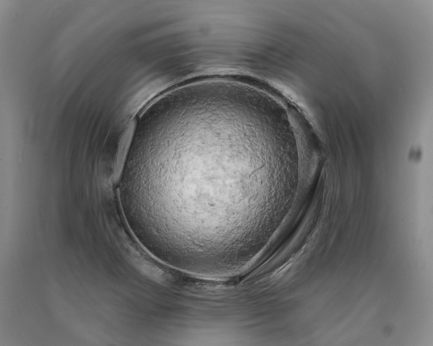 X0000090891273200707271325