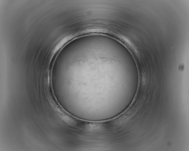 X0000090891274200707271325