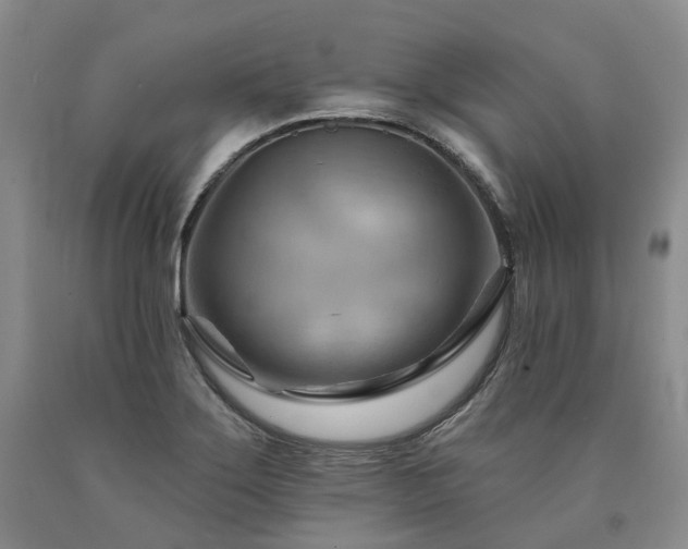 X0000090891275200707271325